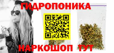 хмурый Аргун