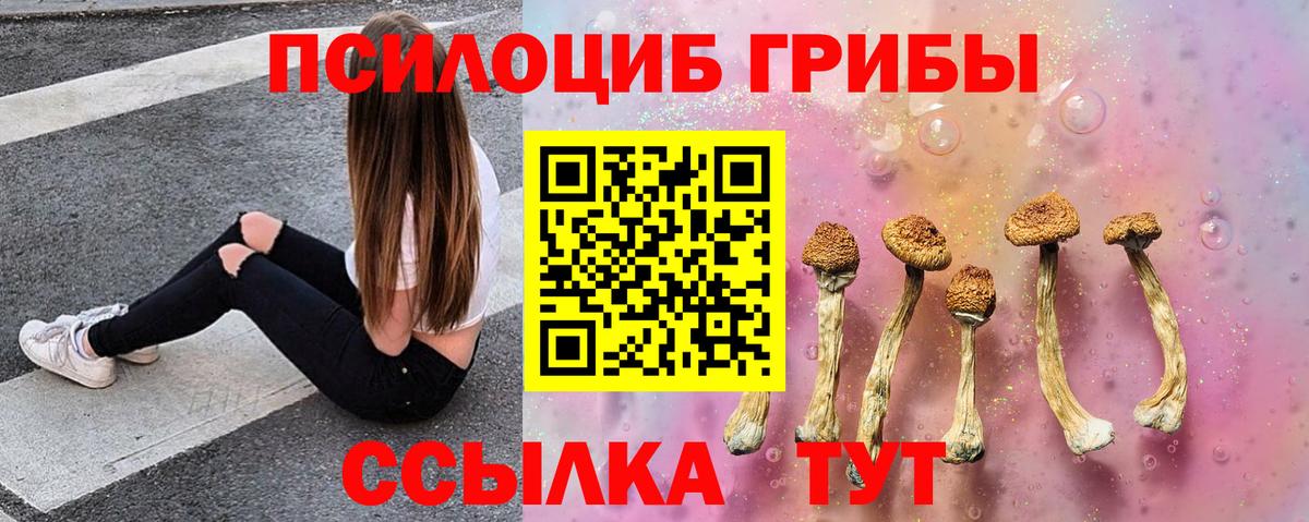 Владикавказ  Псилоцибиновые грибы ЛСД  Вход с VPN  Галлюциногенные грибы Psilocybe 