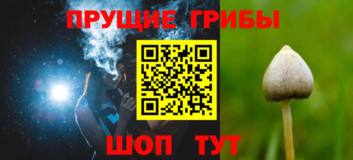 Псилоцибиновые грибы GOLDEN TEACHER Владикавказ